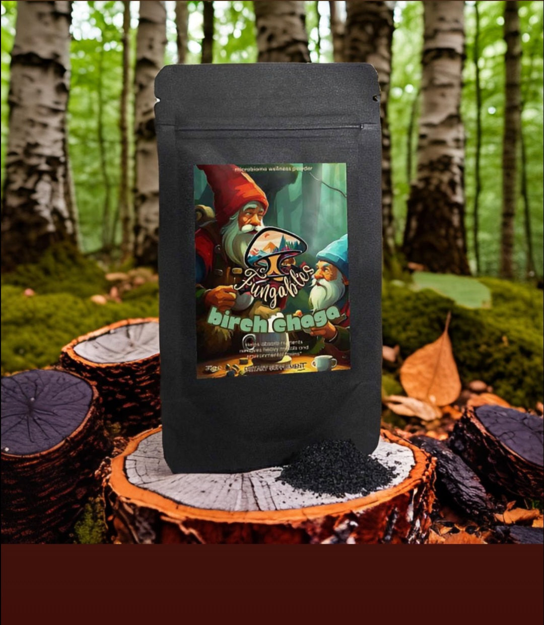 Birch Chaga Microbiome Wellness Powder